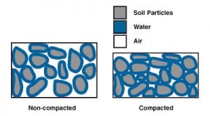 soil compaction killing root system