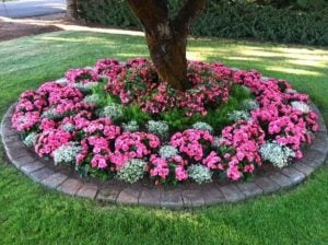 front yard landscaping ideas