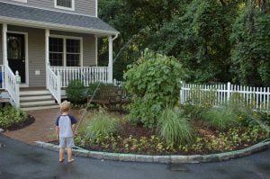 landscaping mistakes, don't forget maintenance