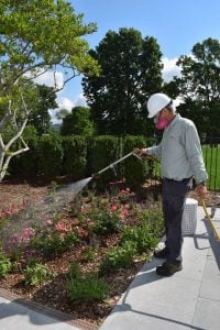 arborist pest control