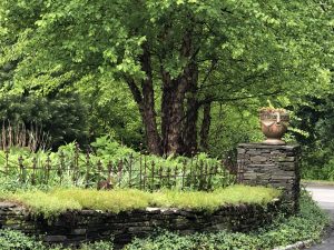 retaining wall to prevent soil erosion