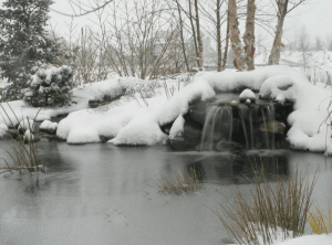 ponds in winter landscape