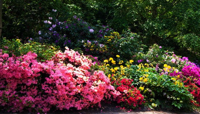 spring landscaping ideas