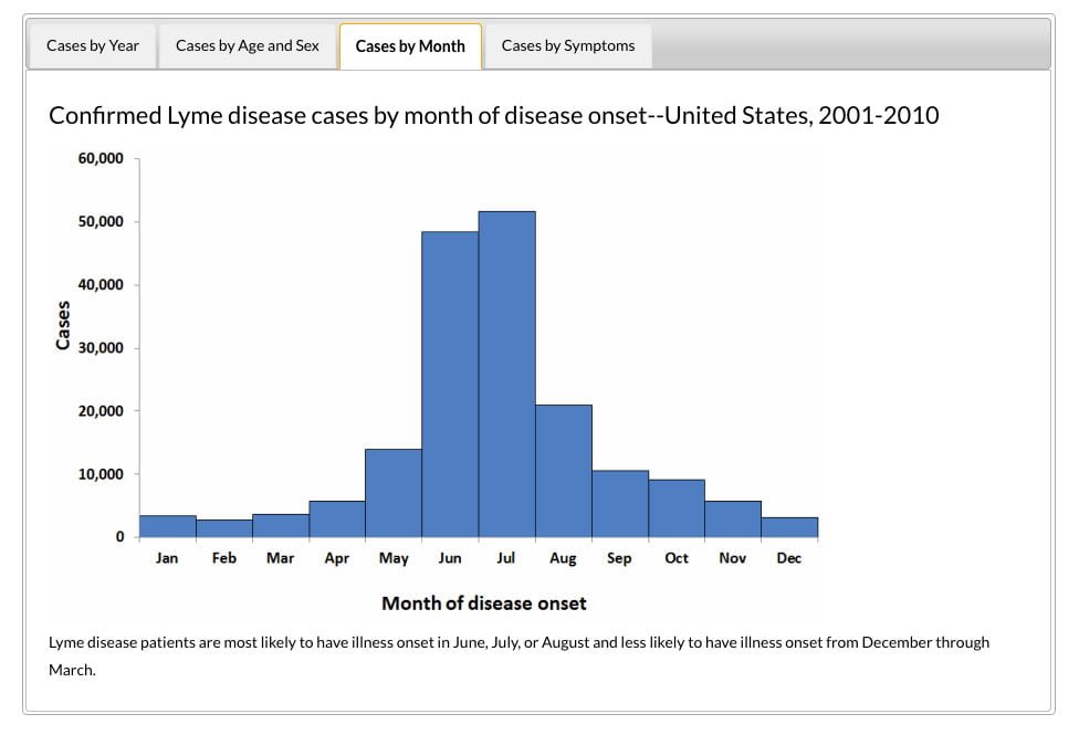 charts-cases-by-month