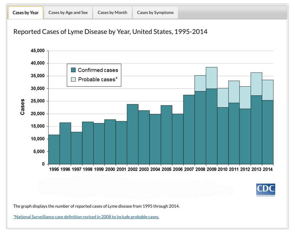 charts-cases-by-year