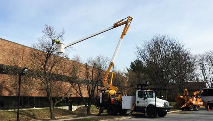 fault tree analysis crane work