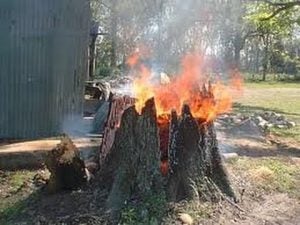 burning stump stump removal