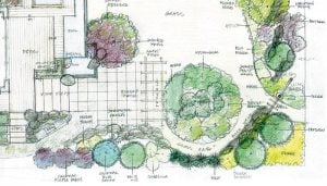 landscape plan