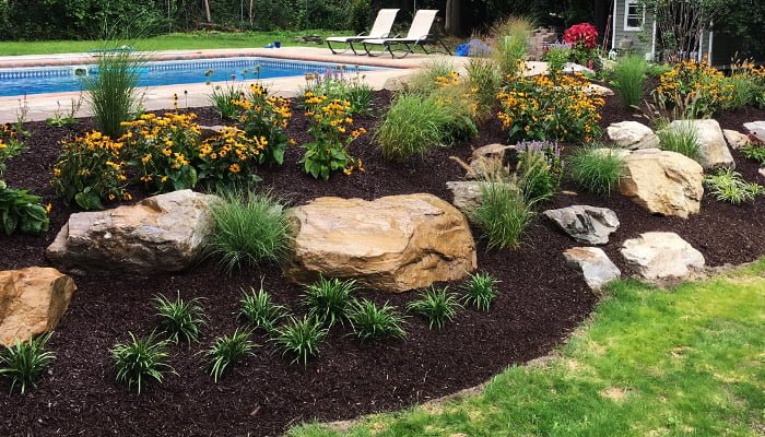 common landscaping mistakes