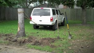 stump removal DIY with car