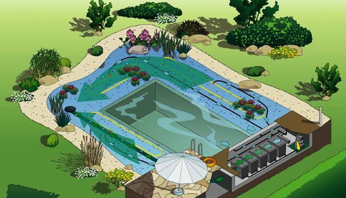 natural pool feature in landscaping