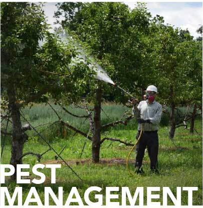 Pest Management