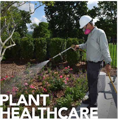 Plant Healthcare