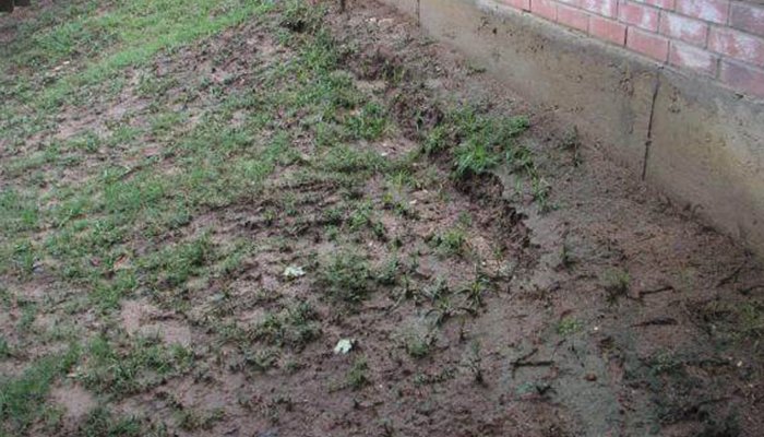 How Do I Prevent Soil Erosion on My Lawn? 