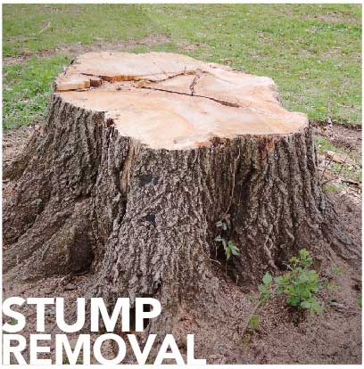 Stump Removal