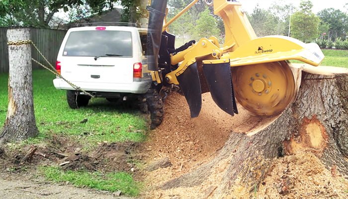 stump removal DIY